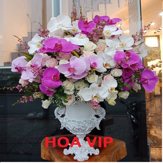 Hoa VIP