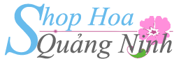 Shop Hoa Quảng Ninh
