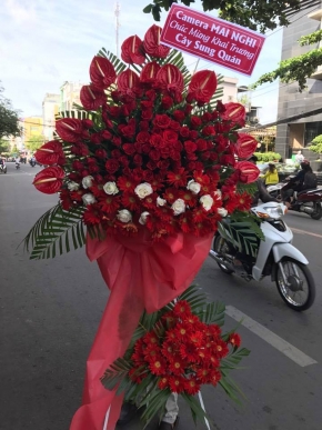 ben vung