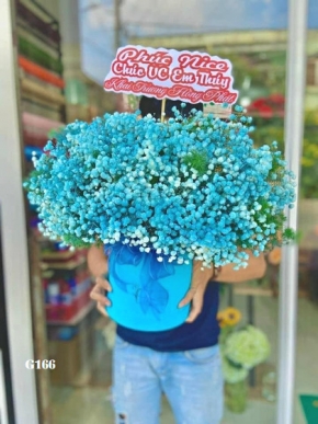 dien hoa chuc mung