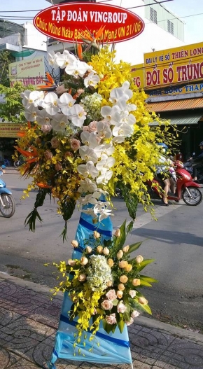 khai truong vung manh