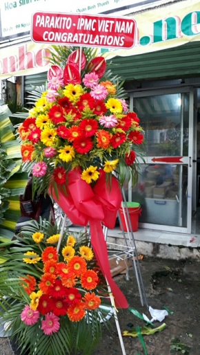 hkt cong ty