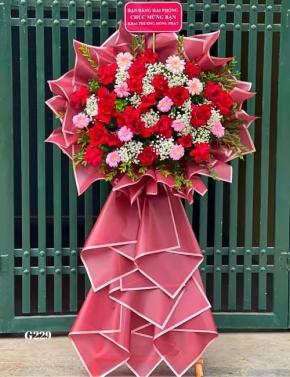 hoa khai truong cong ty