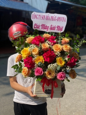 hoa khai truong hong phat