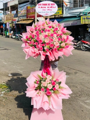 hoa khai truong   phuc loc ven toan