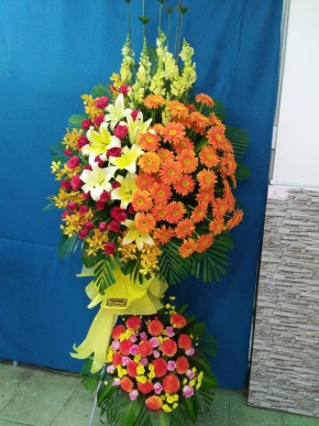 khai truong cong ty