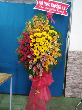 khai truong dai loi