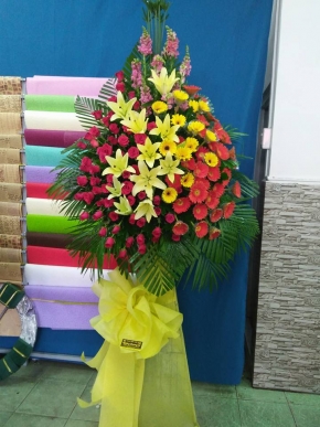 khai truong dai phat