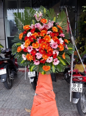 khai truong hong phat