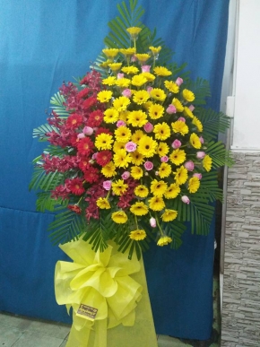khai truong thanh cong
