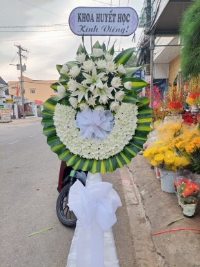 long thanh kinh