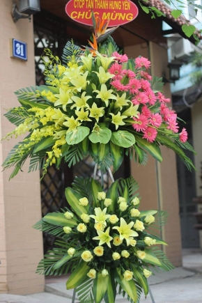 ma dao thanh cong
