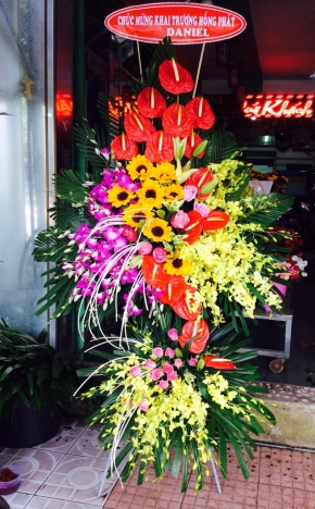 ma dao thanh cong