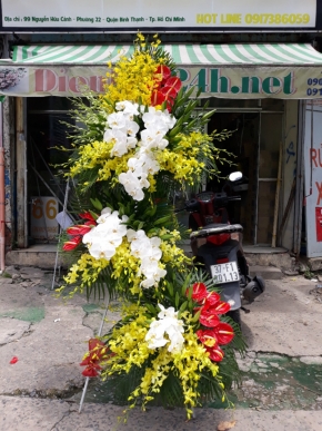 phat trien thinh vuong