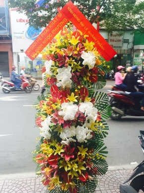 thanh cong vung manh