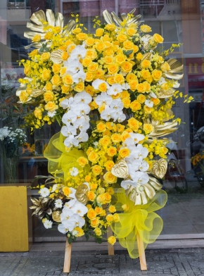 thanh dat vien man