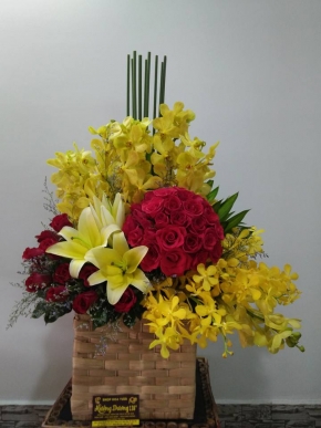 su tinh co