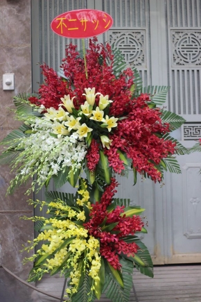 van su thanh cong