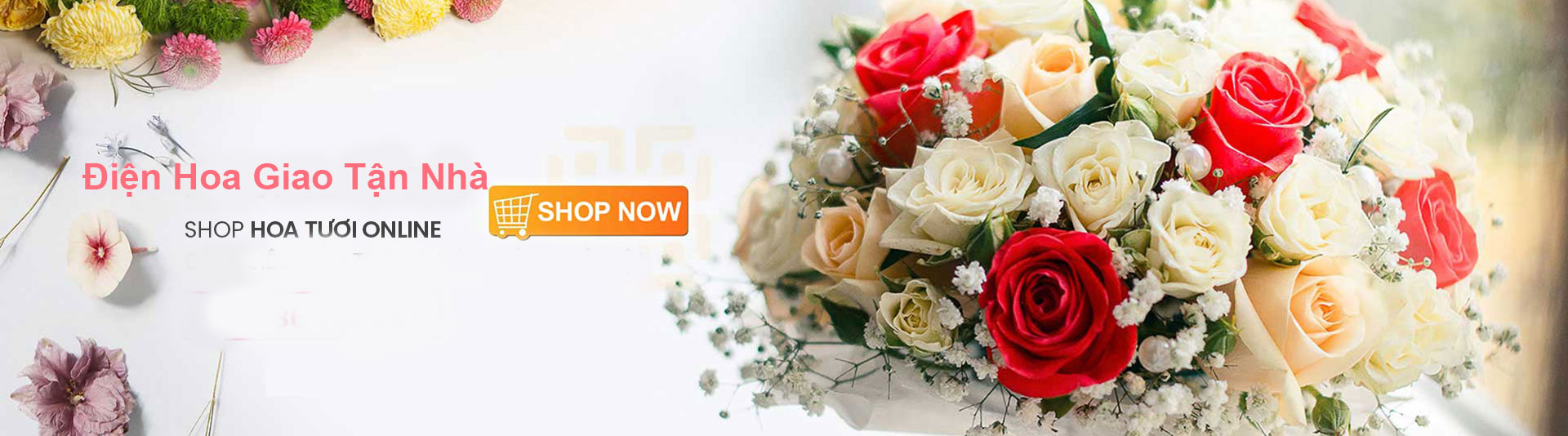 Shop hoa tươi quảng ninh