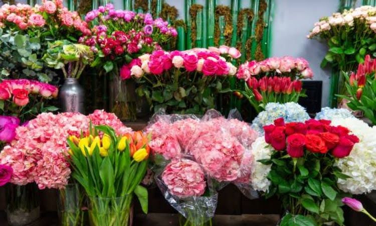 cửa hàng hoa tươi cô tô