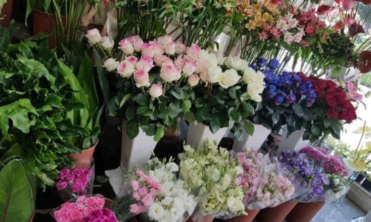 cửa hàng hoa tươi cô tô