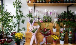 Dịch vụ điện hoa Cẩm Phả