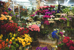 điện hoa đông triều