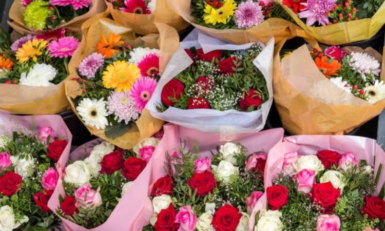 Tiệm Hoa Đất Việt