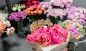 điện hoa Vân Đồn