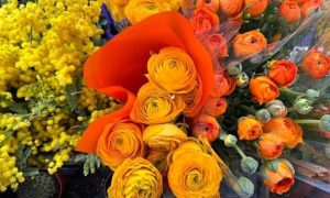 Shop hoa tươi Bình Liêu