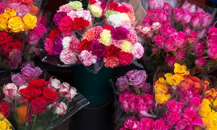 Shop hoa tươi Bình Liêu