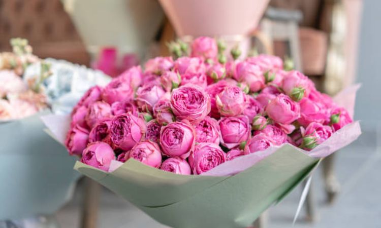 shop hoa tươi Vân Đồn