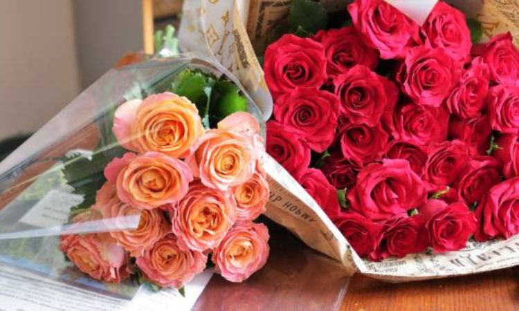 shop hoa tươi vân đồn