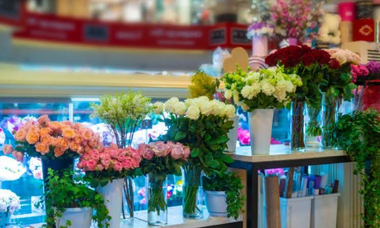 Cơ Sở Hoa Tươi Cô Tô