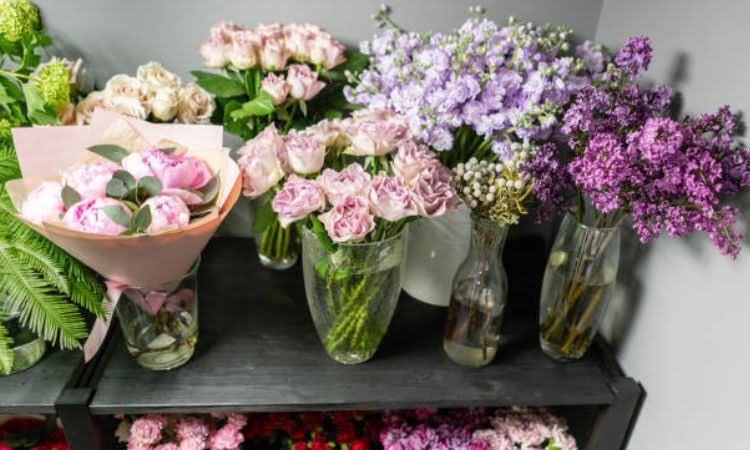 Shop Hoa Linh Đan – Điện hoa Tiên Yên