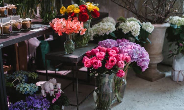 tiệm hoa RoyFlower Tiên Yên
